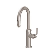 Curving Spout, Pull-down Spray, Industrial Lever