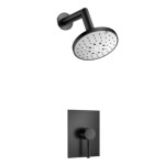 Pressure Balance Control and Wall Mount Showerhead