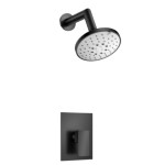 Pressure Balance Control and Wall Mount Showerhead
