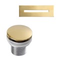 Polished Brass Slotted Overflow