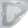 Corner Whirlpool with Grab Bar