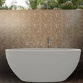 White Oval Bathtub