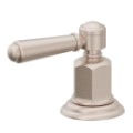 Metal Lever Handle With Metal Top