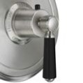 Black Handle, Satin Nickel Faucet