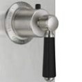 Black Handle, Satin Nickel Faucet