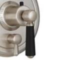 Black Handle, Round Plate