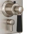Black Handle, Rectangle Plate
