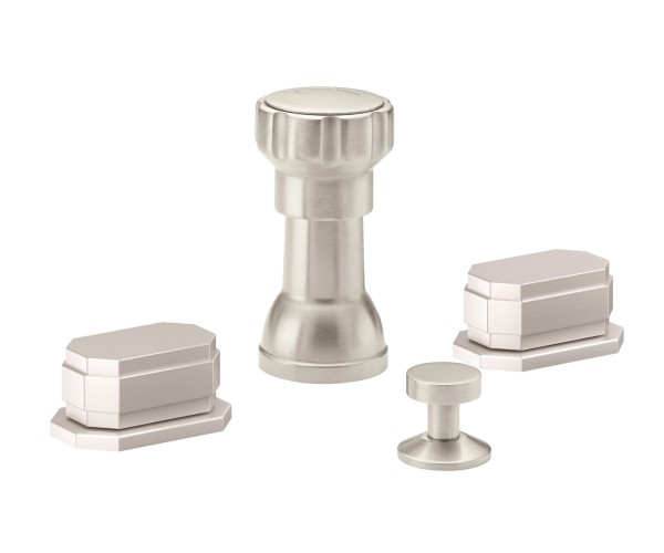 Vertical Bidet with Block Handles