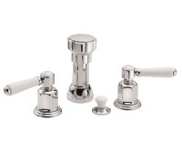 Vertical Bidet with White Lever Handles