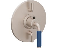 Dual Control Round Trim Plate 41 Blue Handle