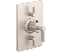 Dual Control Rectangle Trim, 40 Lever Handle
