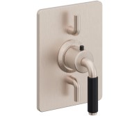 Dual Control Rectangle Trim 41 Black Handle