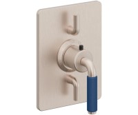 Dual Control Rectangle Trim 41 Blue Handle