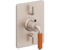 Dual Control Rectangle Trim 41 Orange Handle