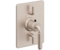 Dual Control Rectangle Trim 41 Lever Handle