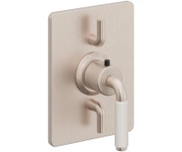 Dual Control Rectangle Trim 41 White Handle