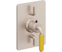 Dual Control Rectangle Trim 41 Yellow Handle