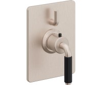 Rectangle Trim Plate, Black 41 Lever Handle