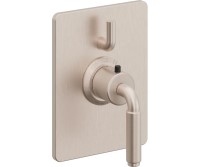 Rectangle Trim Plate, 41 Lever Handle