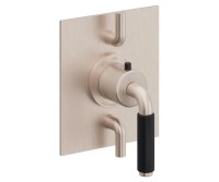 Dual Control Square Trim 41 Black Handle