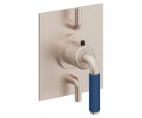 Dual Control Square Trim 41 Blue Handle