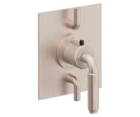 Dual Control Square Trim 41 Lever Handle