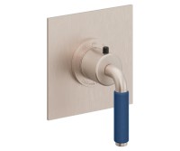 Square Trim Plate, 41 Blue Handle