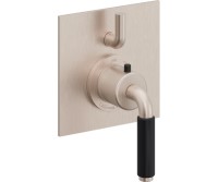 Square Trim Plate, Black 41 Lever Handle