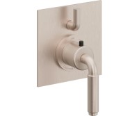 Square Trim Plate, 41 Lever Handle