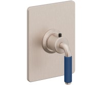 Rectangle Trim Plate, 41 Blue Handle