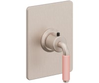 Rectangle Trim Plate, 41 Pink Handle