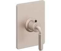 Rectangle Trim Plate, 41 Lever Handle
