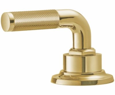 Lifetime Polished Gold