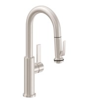 Modern Pull Down, Curving Spout, Spray Squeeze Trigger