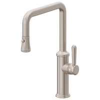 Squared Quad Spout, Pull-down Spray, Push Button Trigger