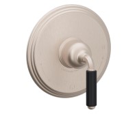 Dual Pressure Balance Control, Color Lever Handle
