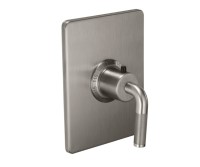 Rectangle Trim Plate, Knurl Lever Handle, 1 Smaller Control