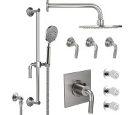 Body Sprays, Shower Head, Tub Spout, Hand Shower on a Slide Bar, Flat Back Plate