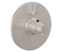 Round Trim Plate, Hammered Handle, 1 Smaller Control