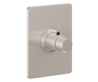 Rectangle Trim Plate, Hammered Handle