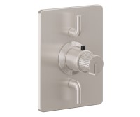 Rectangle Trim Plate, Rivulet Handle, 2 Smaller Controls