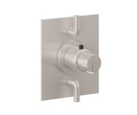 Square Trim Plate, Hammered Handle, 2 Smaller Controls