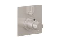 Square Trim Plate, Hammered Handle, 1 Smaller Control