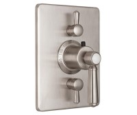 Rectangle Plate, 2 Controls, Lever Handle