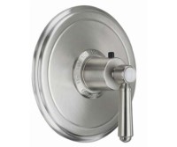 Round Plate Shower Control, Lever Handle