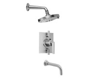 Multi-Function Shower Head, Shower Arm, Tub Spout - 2 Lever Control