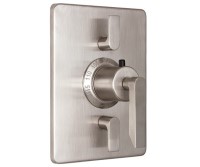 Rectangle Trim Plate, Lever Handle, 2 Control