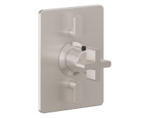 Rectangle Trim Plate, Metal Cross Handle, 2 Smaller Controls