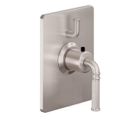Rectangle Back Plate, Lever Handle Style Therm with Diverter