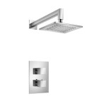 Thermostatic Control and Square Showerhead
